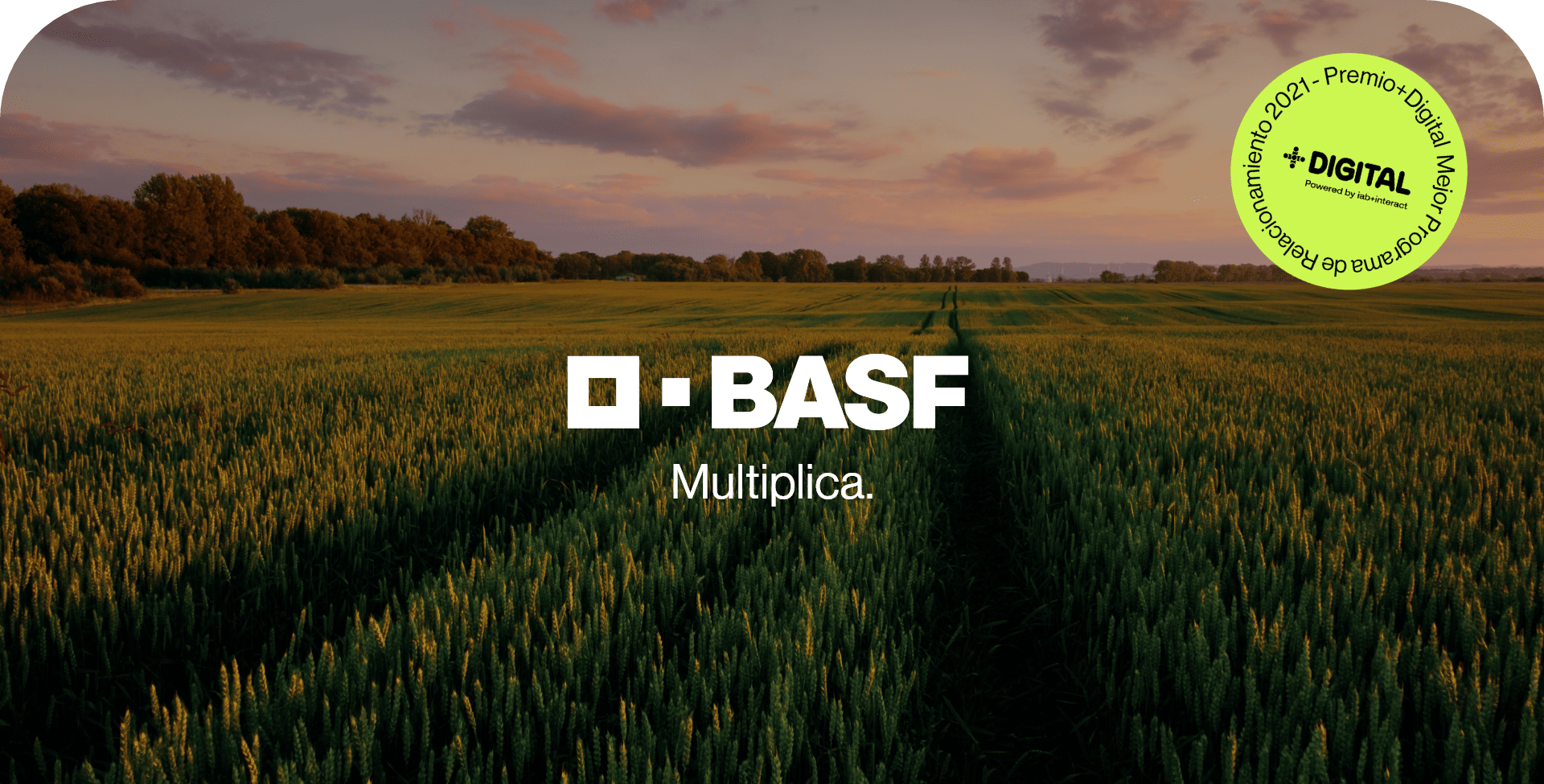 PRyecto BASF